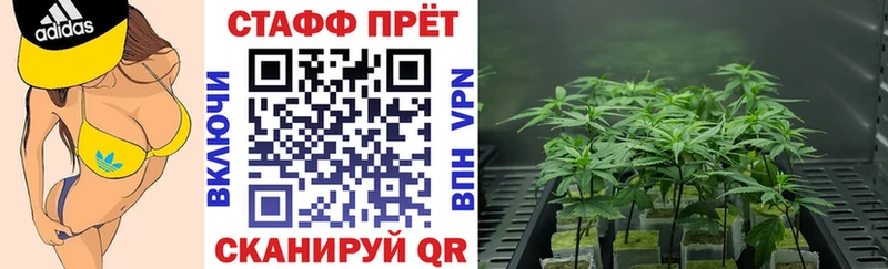 Где купить наркотики Покров Каннабис COCAIN ГАШ Alpha-PVP АМФЕТАМИН МЕФ