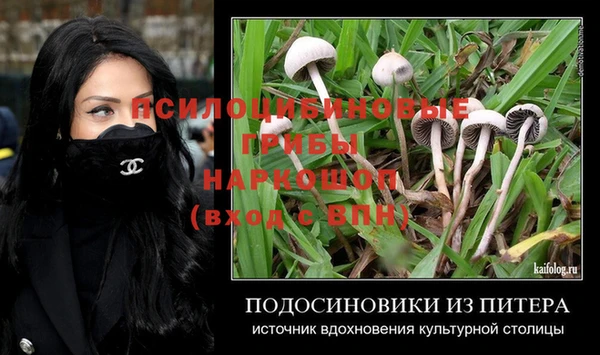 не бодяженный Гусев