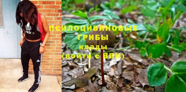 метадон Гусиноозёрск