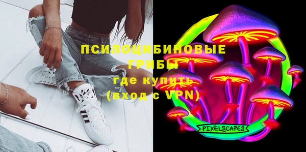 не бодяженный Гусев