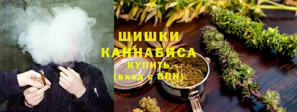 не бодяженный Гусев