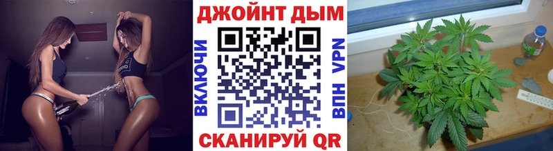 Шишки марихуана гибрид  где можно купить наркотик  Покров 